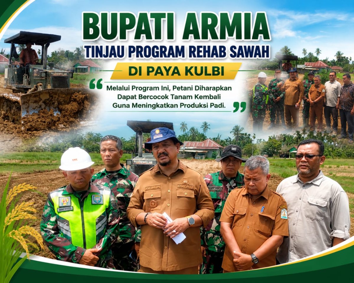 Bupati Armia Tinjau Program Rehabilitasi Sawah di Paya Kulbi